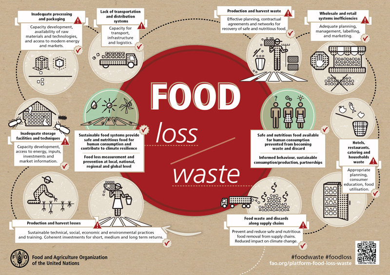 Food Loss Waste