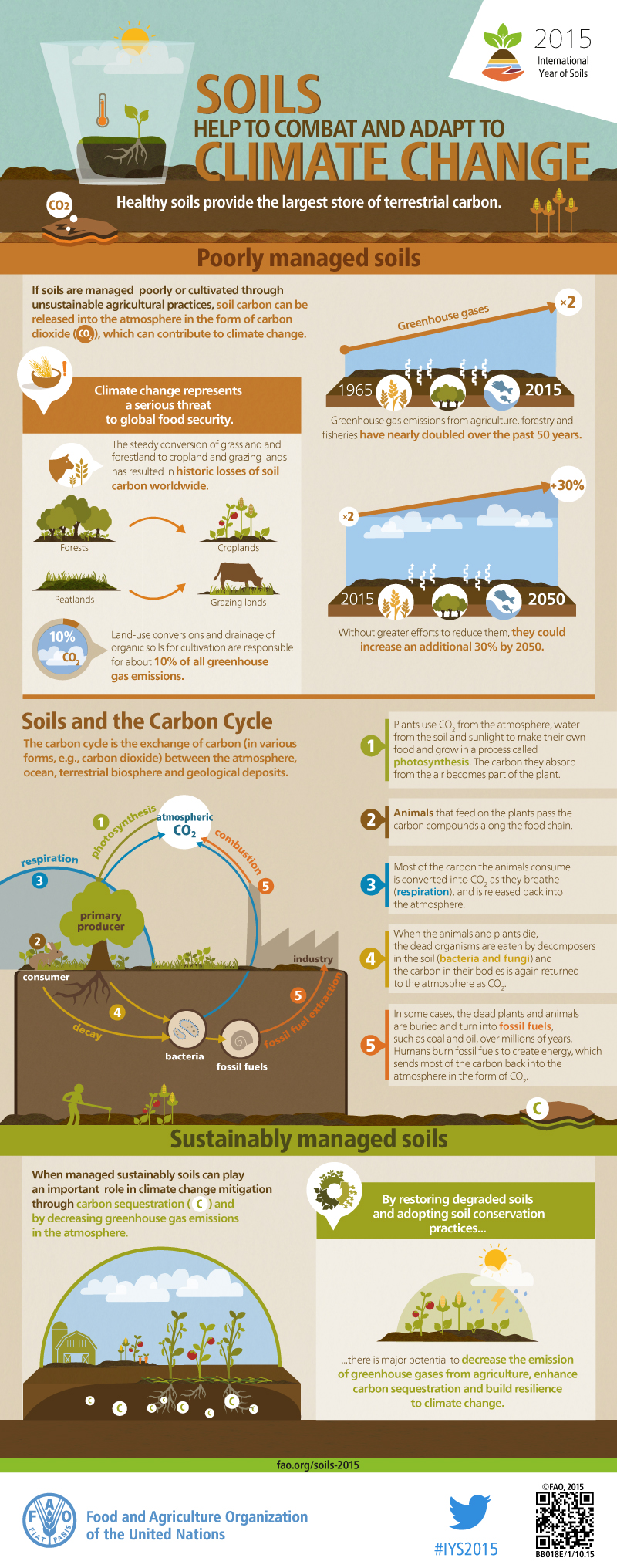 Soils help to combat and adapt to climate change