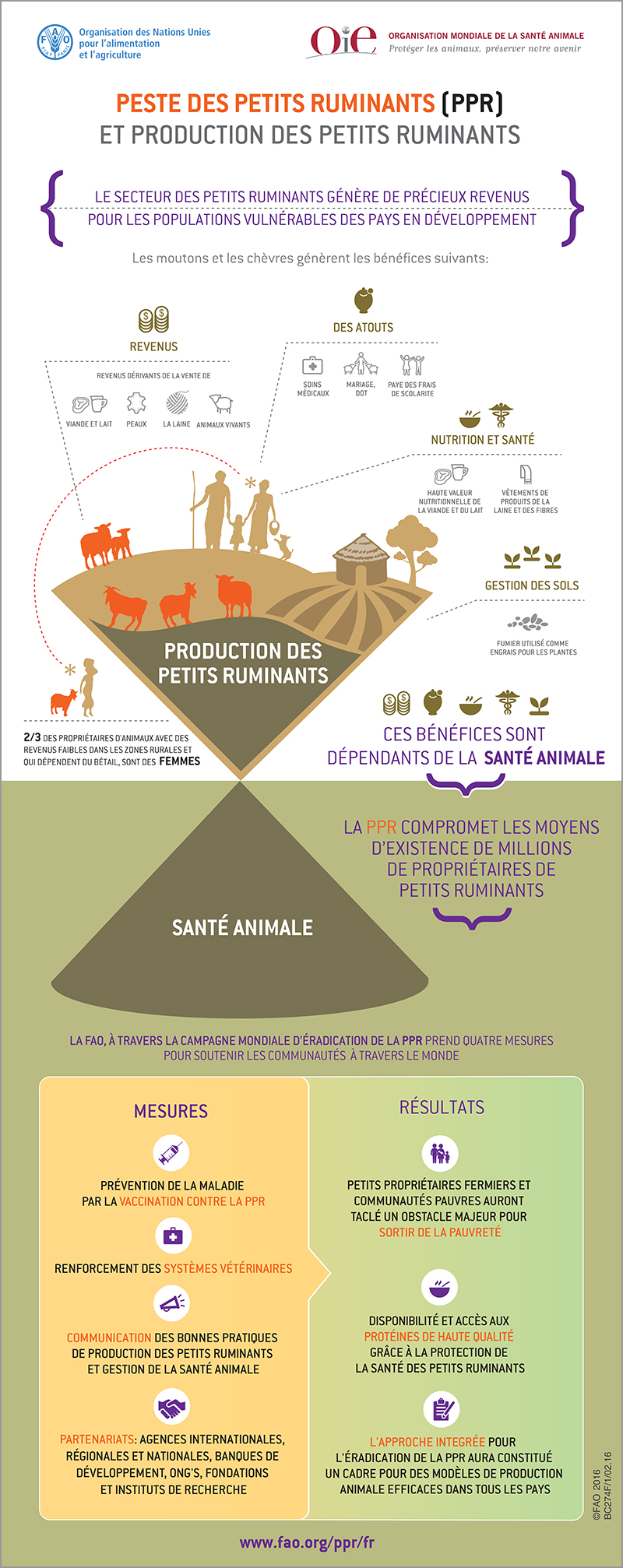 Peste Des Petits Ruminants (PPR) Et Production Des Petits Ruminants