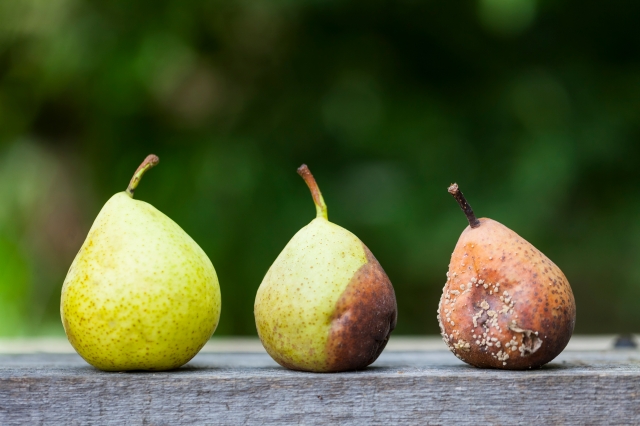 Fruta congelada, local y que ayuda a evitar el desperdicio - Redagrícola