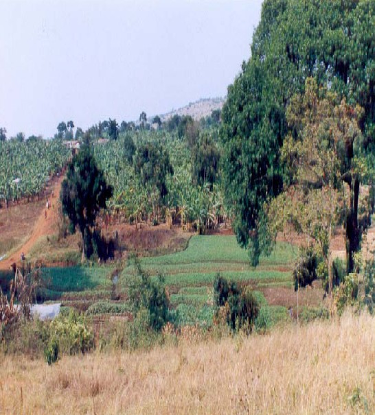 tanzania natural resources