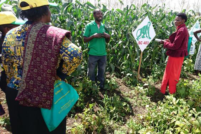 Fao Coordination Of Food And Agriculture Disaster Risk Reduction And Management In Southern Africa Fao In Emergencies