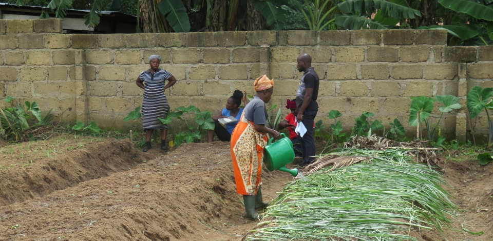 Forest And Farm Facility Food And Agriculture Organization Of