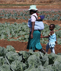 Community Gardens Community Gains Women And Men Working Together