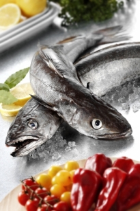 底层鱼类 Globefish 专注世界渔业贸易分析与信息 联合国粮食及农业组织 Market Reports Globefish Food And Agriculture Organization Of The United Nations