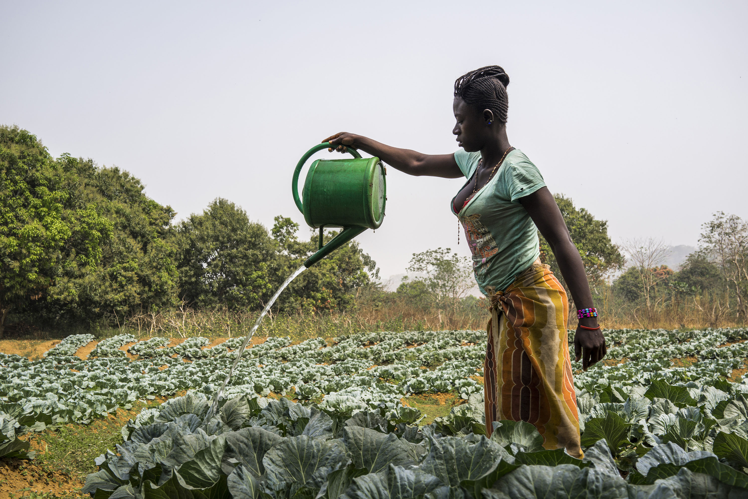 Fao News Article Gender Gaps In African Agriculture Are Holding Back Progress