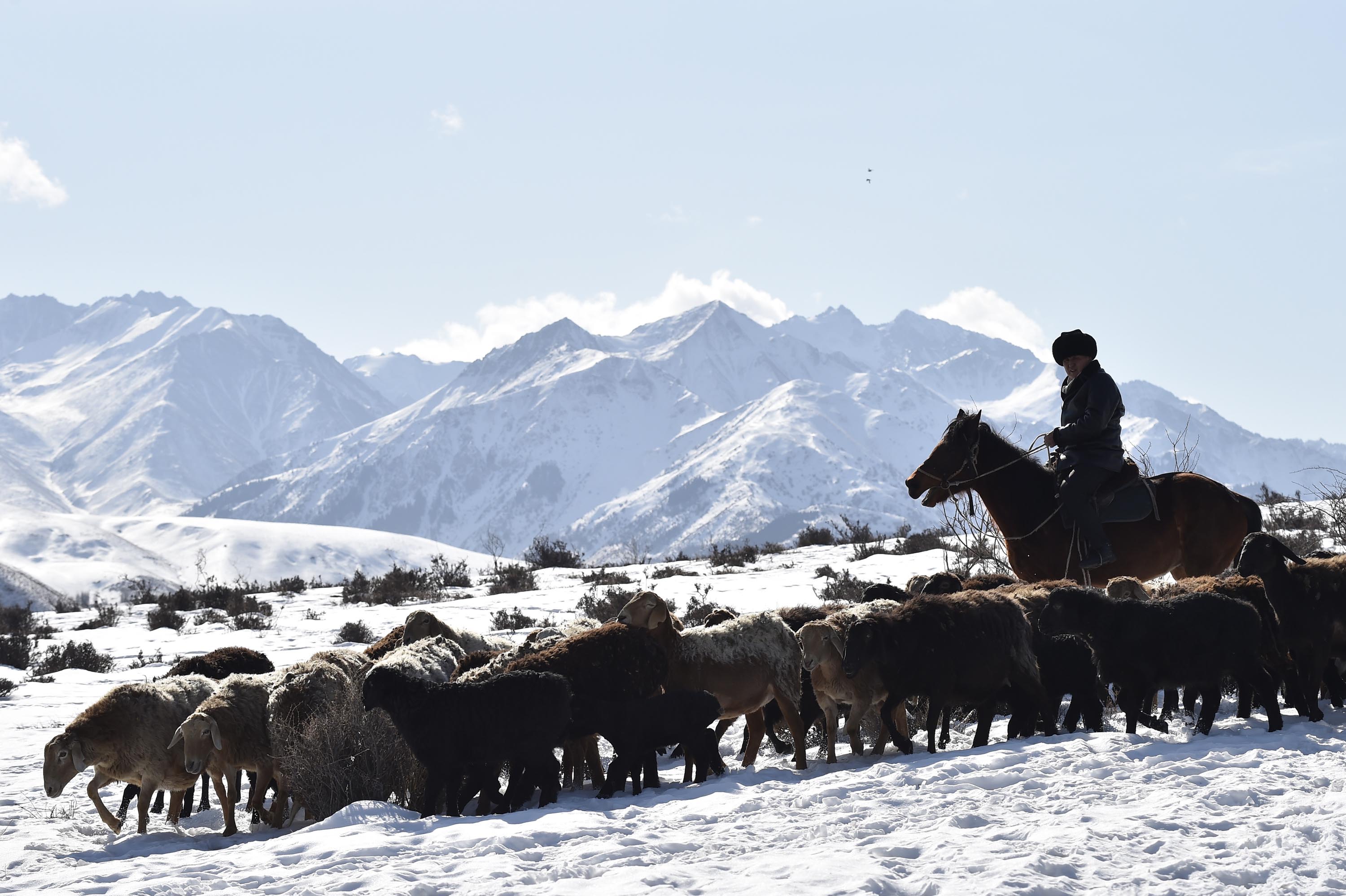 Photo: ©FAO/Vyacheslav Oseledko