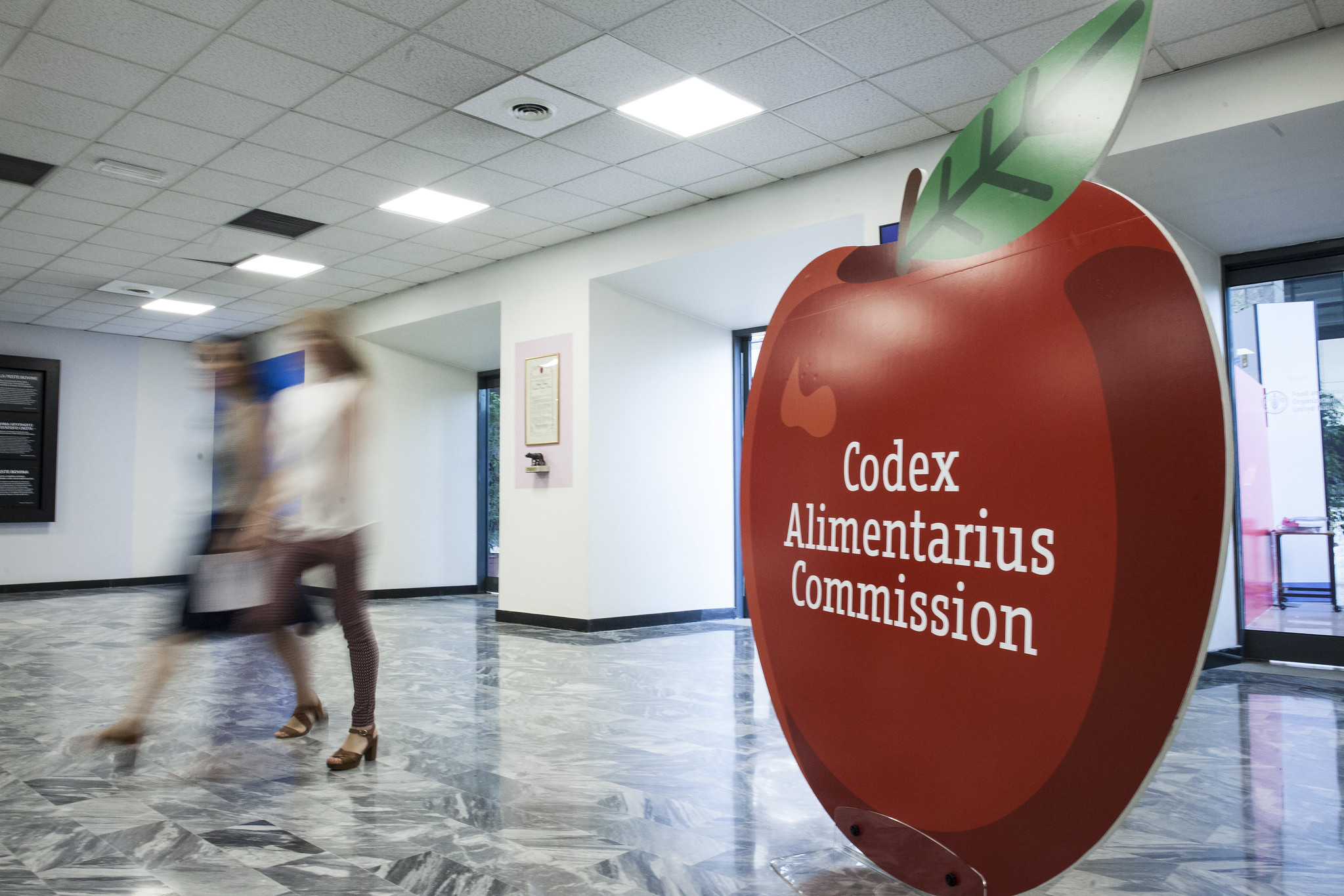 fao-news-article-codex-alimentarius-commission-24-26-september-2020