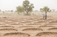 Photo: Â©FAO/Giulio Napolitano