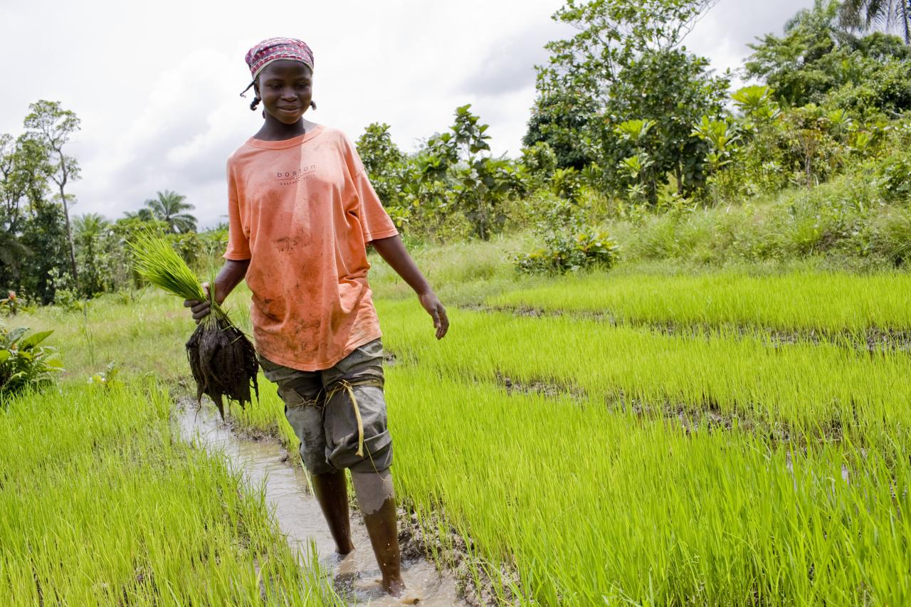 Increasing Resilience to Climate Change in Liberia ...