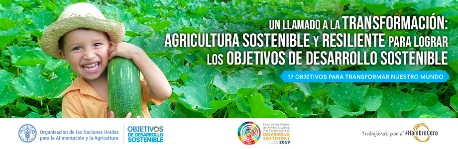Un llamado a la Transformación: Agricultura Sostenible y resiliente para  lograr los Objetivos de Desarrollo Sostenible | FAO