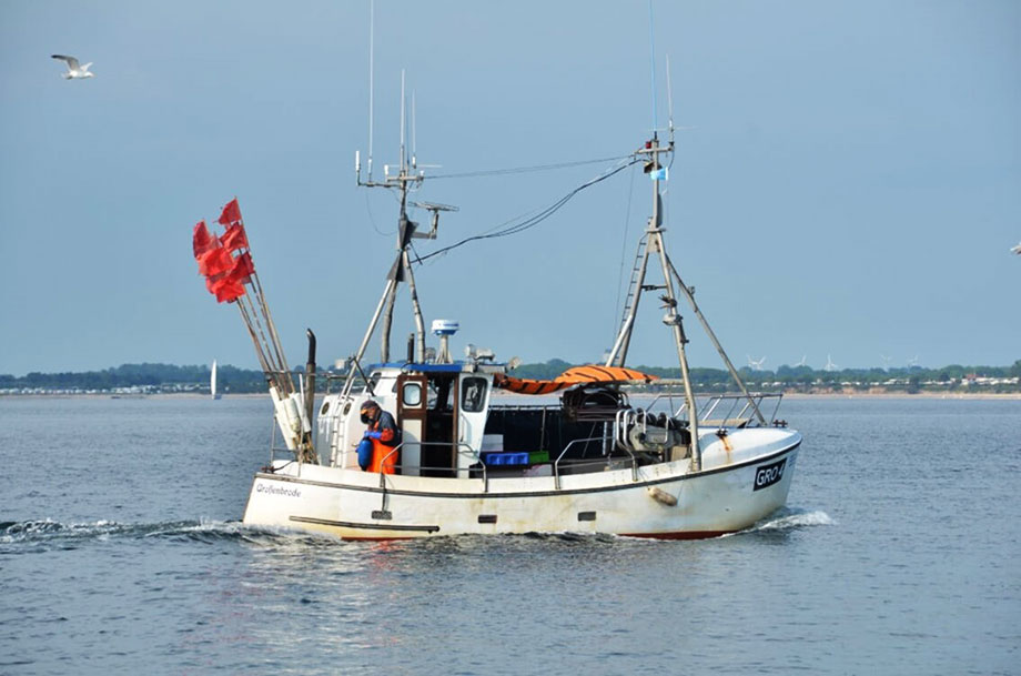 European guide for risk prevention in small fishing vessels