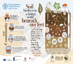 Soil biodiversity, the hidden world beneath our feet