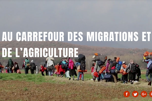 Migrations, agriculture et developpement rural