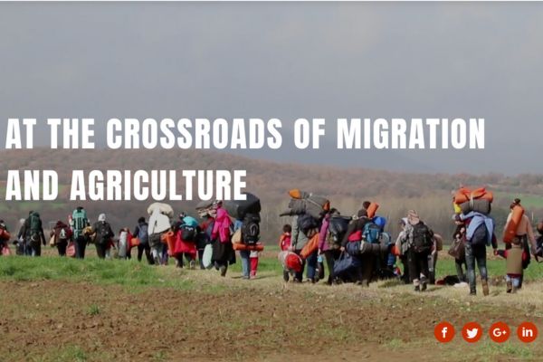 Migration, Agriculture and Rural Development