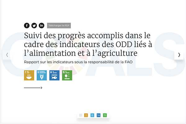 Suivi des progrès accomplis dans le cadre des indicateurs des ODD liés à l’alimentation et à l’agriculture (2019)