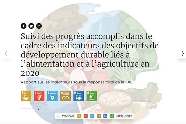Suivi des progrès accomplis dans le cadre des indicateurs des objectifs de développement durable liés à l’alimentation et à l’agriculture 2020