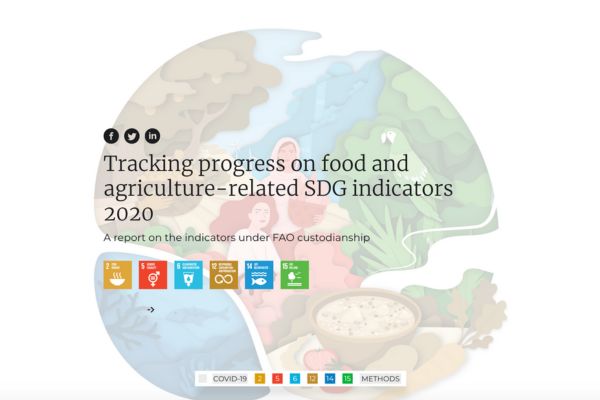 Tracking progress on food and agriculture-related SDG indicators (2020)