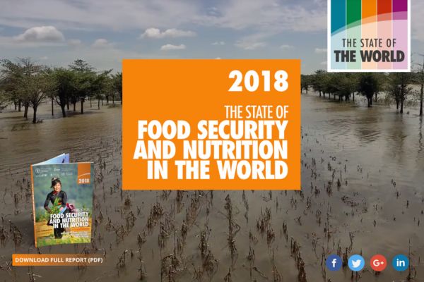 Building climate resilience for food security and nutrition