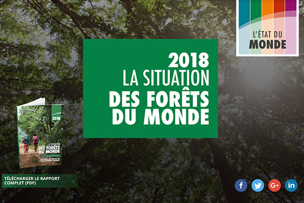 Situation des forêts du monde (2018)