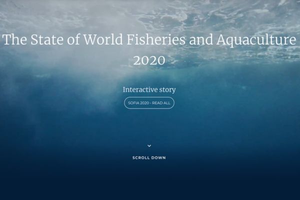 The State of the World fisheries and Aquaculture 2020