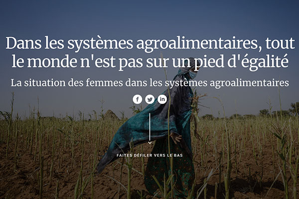 La situation des femmes dans les systèmes agroalimentaires