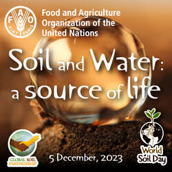 World Soil Day 2023 | Web Banners