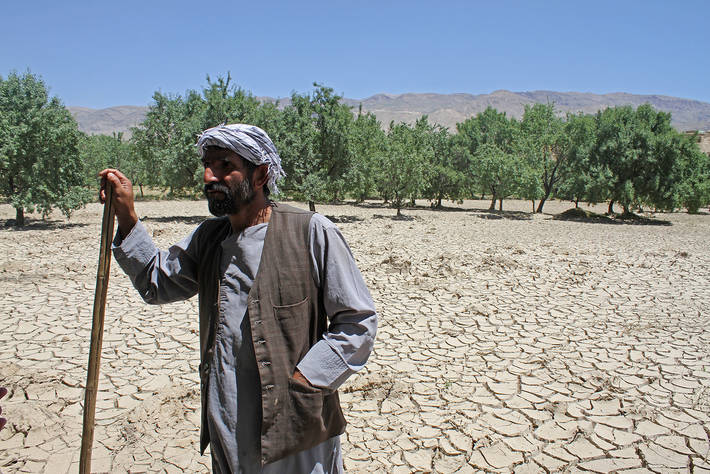 FAO - News Article: Increased support for Afghan farmers hit by conflict  and natural disasters