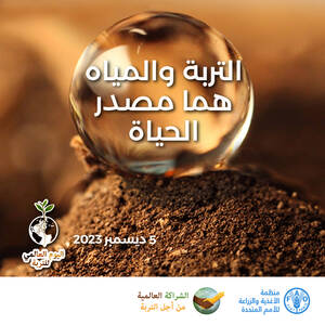 World Soil Day 2023 | Official Social Media Cards