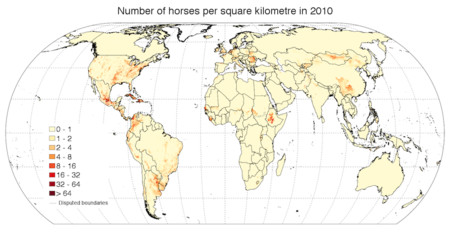 Horses Livestock Systems Food And Agriculture Organization Of The United Nations