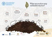 What can you do to stop soil biodiversity loss