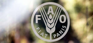 Organisation Des Nations Unies Pour L Alimentation Et L Agriculture Fao Au Maroc Maroc Food And Agriculture Organization Of The United Nations