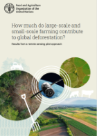 How much do large-scale and small-scale farming contribute to global deforestation