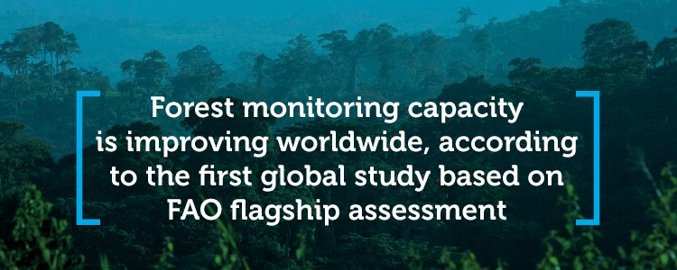 First global study on forest monitoring capacity | Evaluaciones de recursos  forestales mundiales | Organización de las Naciones Unidas para la  Alimentación y la Agricultura