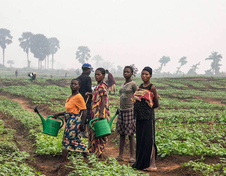 Crisis in the Democratic Republic of the Congo : FAO in Emergencies