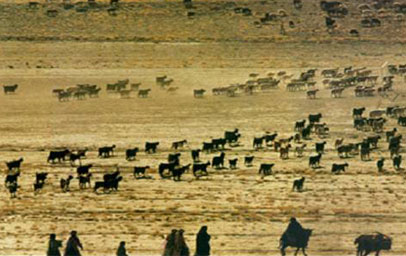 Qashqai Nomadic Pastoralism