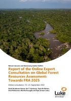 Report of the Online Expert Consultation on Global Forest Resources Assessment: Towards FRA 2025