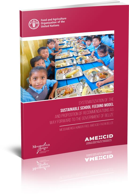 Systematization of the Sustainable School Feeding Model and proposition of recommendations as way forward to the government of Belize