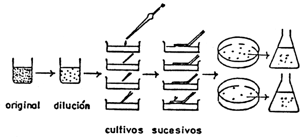 Fig. 1c