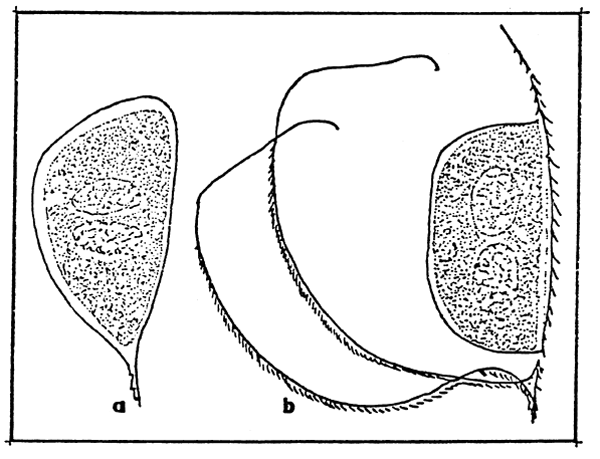 FIG. 25