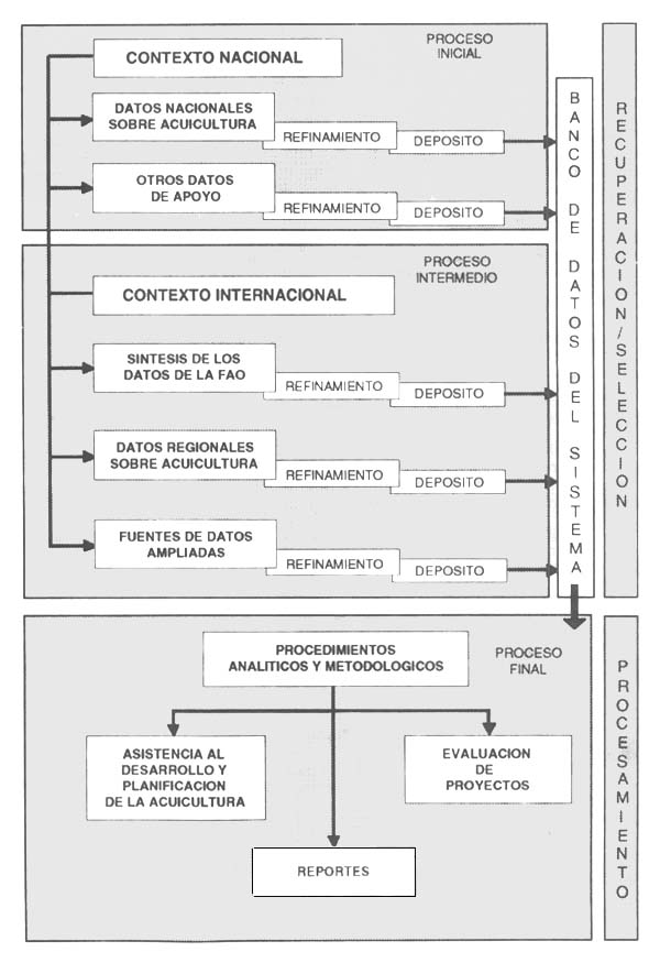 Figura 4