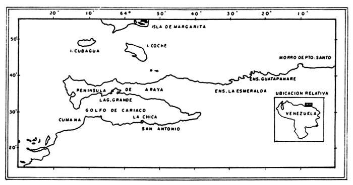 Figura 5.1.