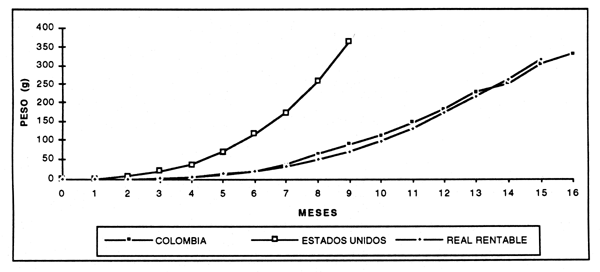 Figura 4.1.