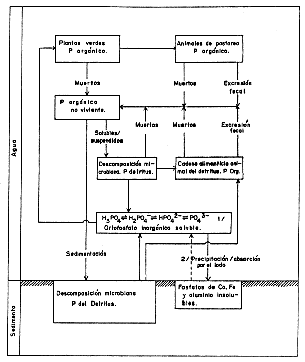 FIGURA 12