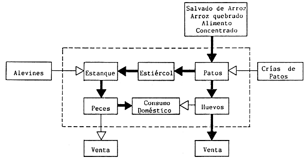 FIGURA 18