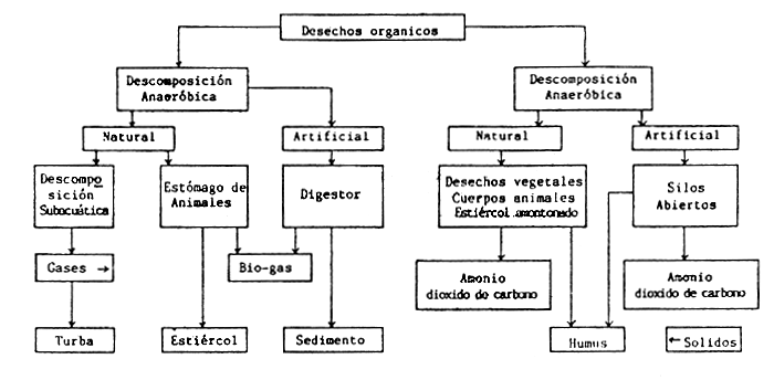 FIGURA 19