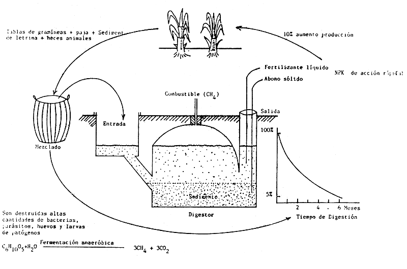 FIGURA 24