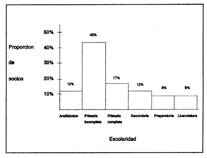 FIGURA 4