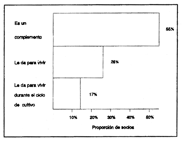 FIGURA 7