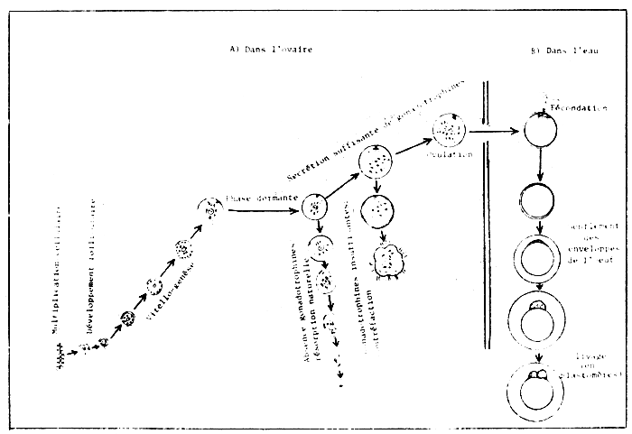 FIGURE 15